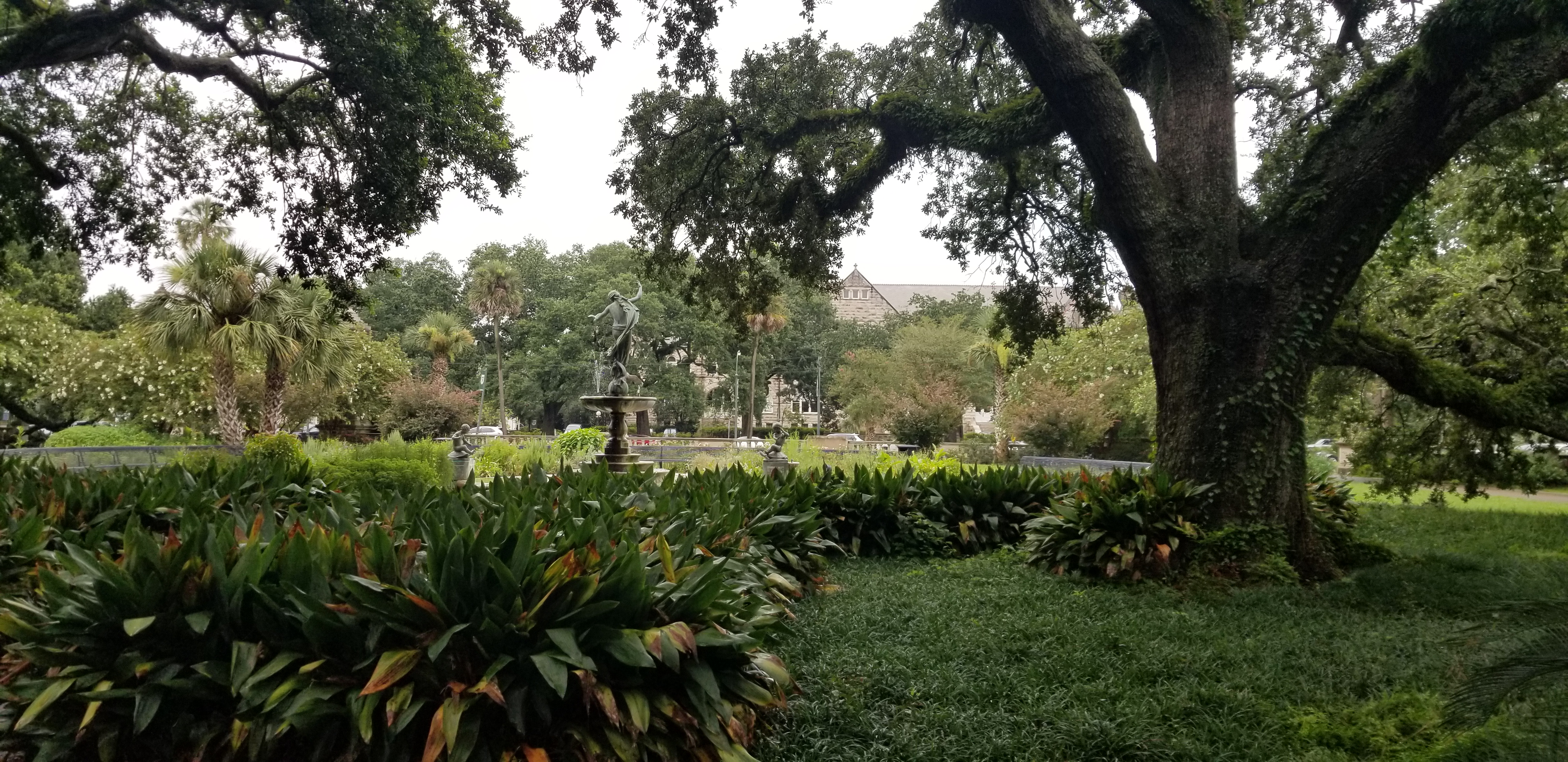 A lush New Orleans garden beneath spreading oak branches